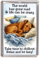Irish Terrier Dog Fridge