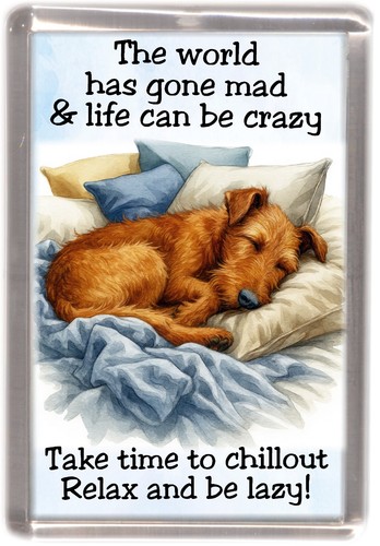 Irish terrier dog fridge - irish,