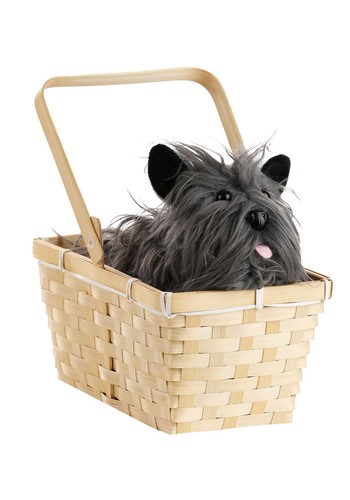 Toto basket accessory - a,