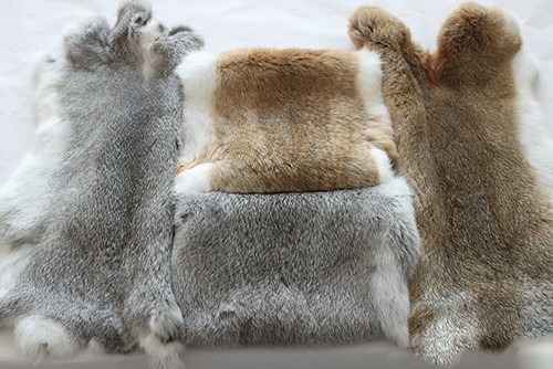 4pcs set real rabbit - 4pcs/set,