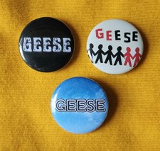 Geese (indie rock / Cameron
