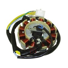 12 Coils Ignition Stator