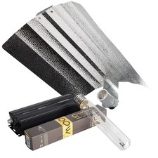 600W Omega Digital Ballast