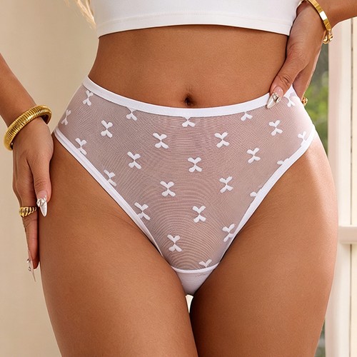 Pack lot sexy womens sheer - pack,