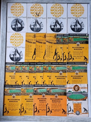 Wolverhampton wanderers - wolverhampton,