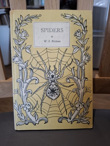 King penguin spiders - king,