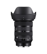 Sigma 24-70mm f2.8 DG DN II