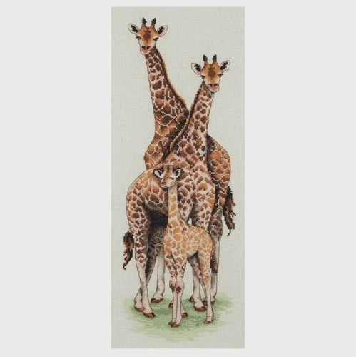 Giraffe family counted - counted, cross
