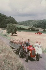 Massey Ferguson MF35 Tractor