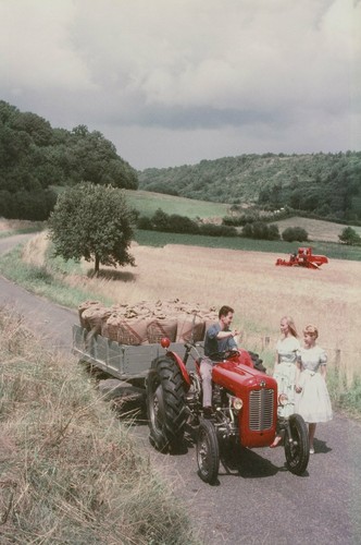 Massey ferguson mf35 tractor - ferguson,