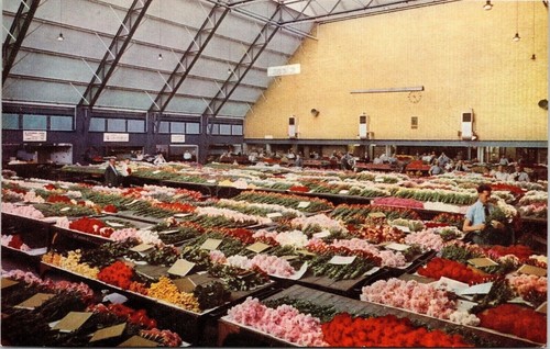Scenic big hall greenhouse cut - scenic,