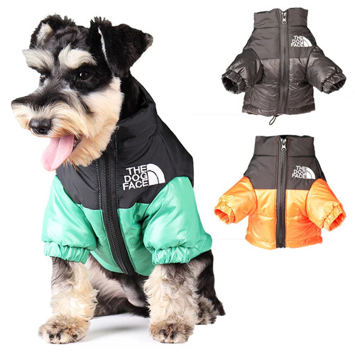 Large winter pet dog - winter, clothes