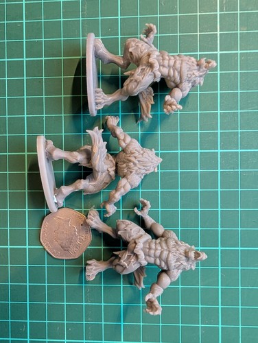 Dnd resin wear - wolf, miniature