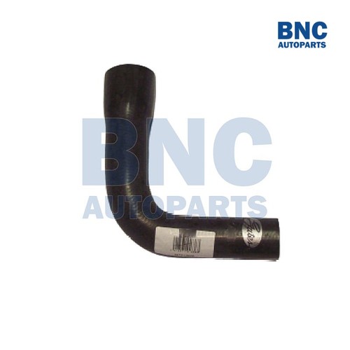 Lower radiator hose - lower,