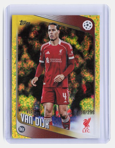 Virgil van dijk - virgil, 2025-26