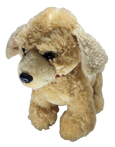 Build bear labrador - bear, dog