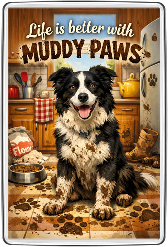 Border collie muddy paws - border,