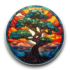 LARGE Japanese Bonsai Tree