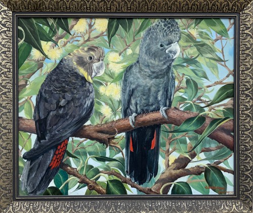 Australian cockatoo botanical - australian,