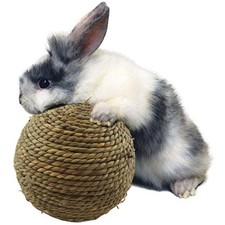 1-3PCS Rabbit Small Pet