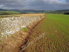 Photo 6x4 Stone wall at Haddon