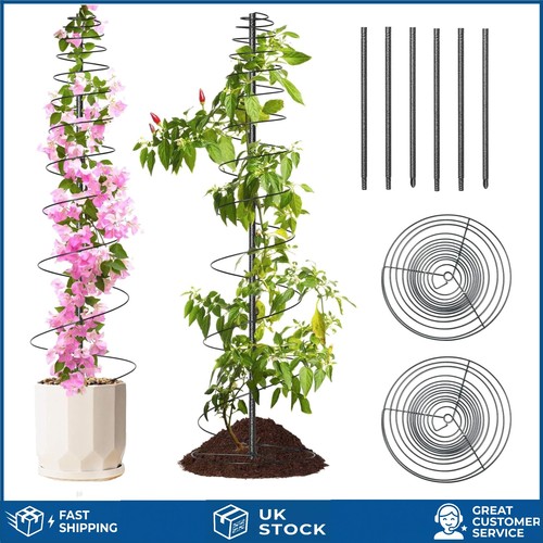 Elegant spiral metal garden - metal,