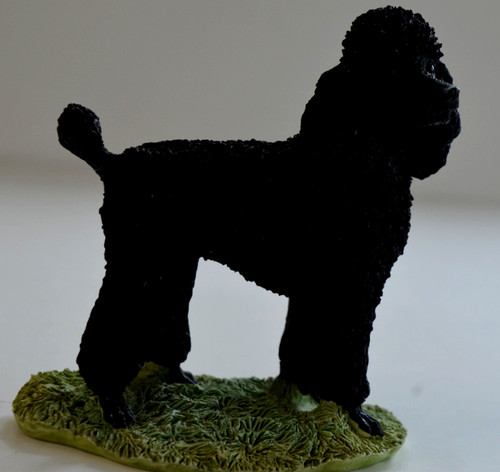 Border ine arts - arts, dog