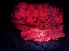 KB: FANTASTIC!! FL. & PHOS