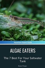Algae Eaters: The 7 Best For