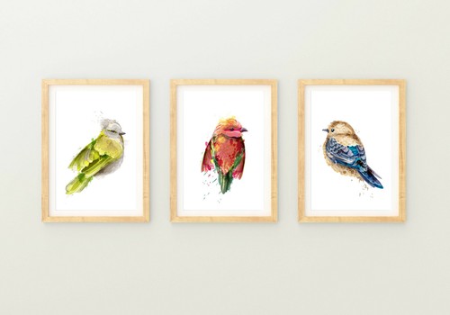 Watercolour small bird - , prints