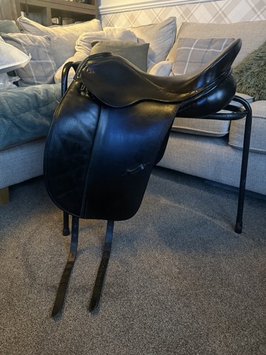 Albion slk dressage - albion,
