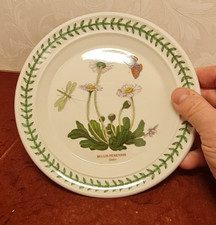 Portmeirion Botanic Garden