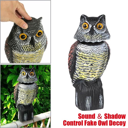 Large realistic owl decoy - realistic,