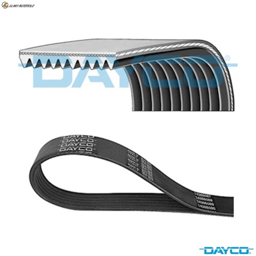 Ribbed belt 10pk1690hd - v-ribbed,