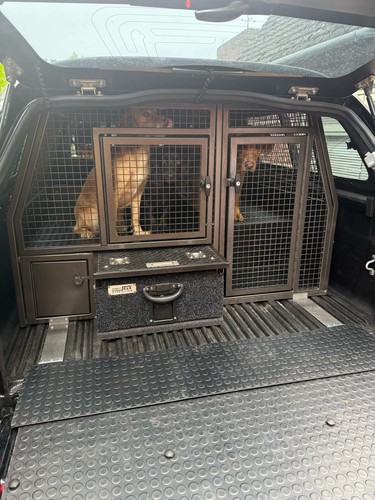 Custom dog crate for truck - custom,