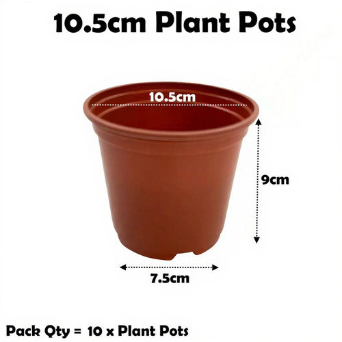 5cm plant pots - 10.5cm,