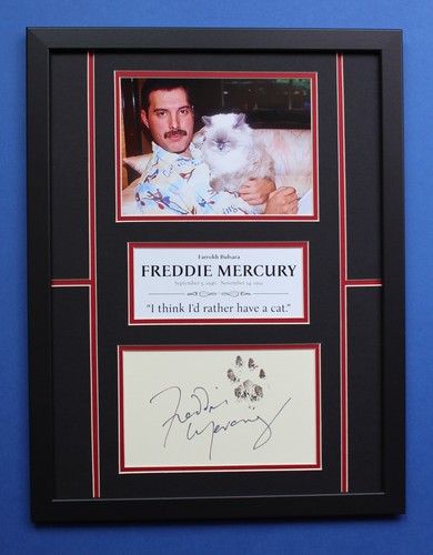 Freddie mercury autograph art - freddie,