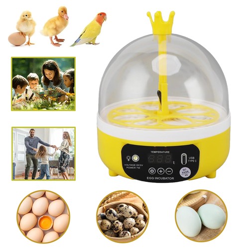 Automatic incubator egg - incubator,