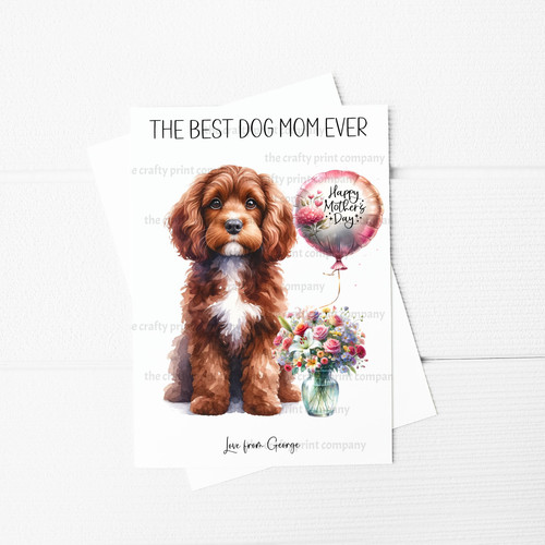 The best dog mom - dog, ever