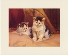CAT KITTEN PRINT TWO BEAUTIFUL