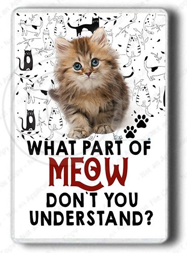 Funny cat fridge magnet - cat,