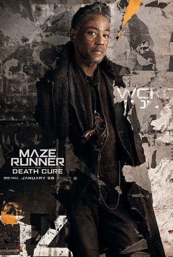Maze runner the - death, cure