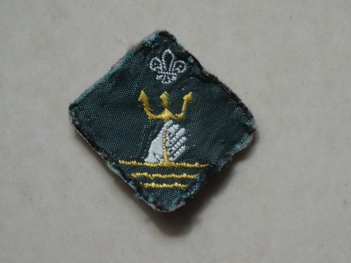 Scout proficiency badge - proficiency,