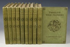 Edward HULME Familiar Wild Flowers 360 Beautiful COLOURED PLATES Cassell 9 Vols