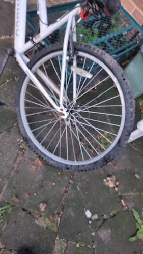Ammaco girl bike all think
