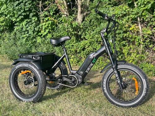 Adult tricycle immaculate - tricycle,