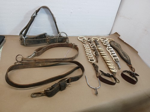 Antique horse harness tack - horse,