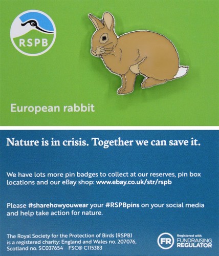 Rspb pin badge niic european - rspb,