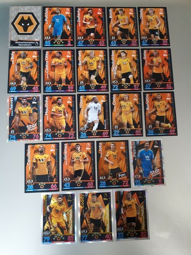 Wolverhampton wanderers - wolverhampton,