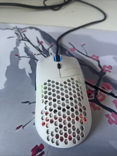 Glorious gaming race model - pc,